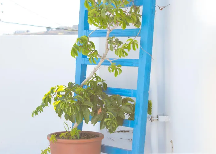 Appartamento Dafne&chloe Terrace