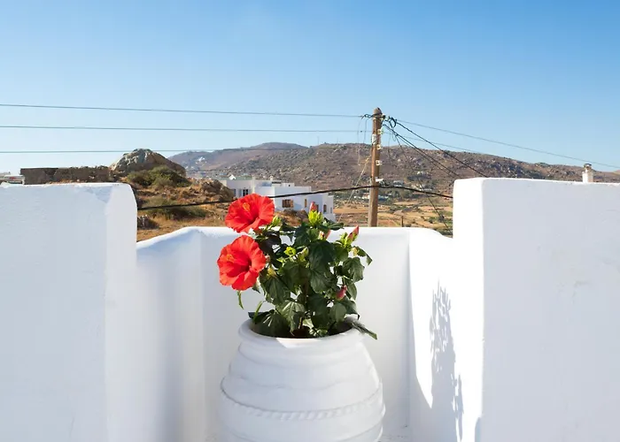 Appartamento Dafne&chloe Terrace